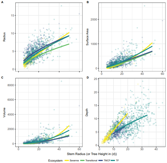 ashenkin's tweet photo. The first cross-ecosystem study of tropical tree crown allometry shows that savanna crowns are different - they start off small and narrow, but expand and deepen quickly as trees grow taller. More below and at https://t.co/IuEEzflWhH. @NERCscience @ERC_Research https://t.co/syUGeCoTSm