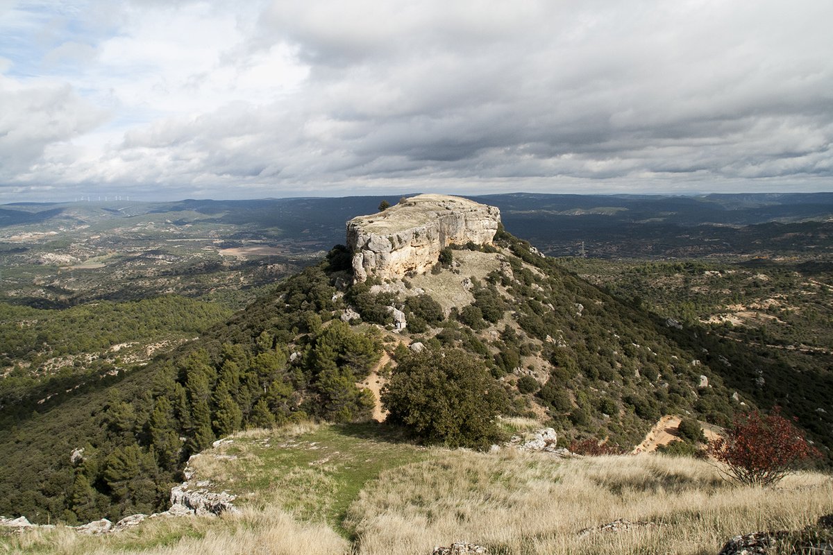 ☺️ Os deseamos que disfrutéis mucho de este puente y os rogamos que sigáis manteniendo las medidas de distanciamiento social, higiene de manos, mascarilla, etcétera 🙏

#trillo #trillaneando #azañón #LaPuerta #morillejo #vianademondéjar #valdenaya #COVID19 #eldiaadiaentrillo