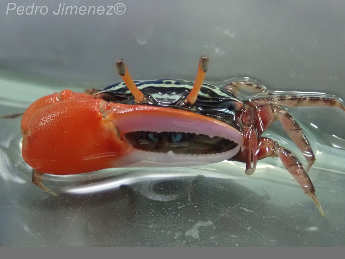 iMEco Lab tweet media