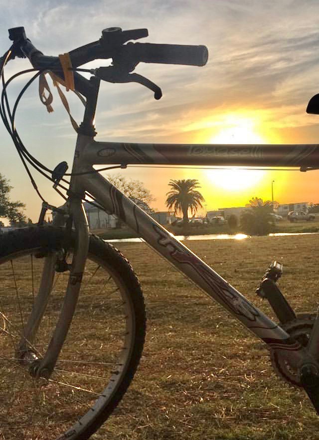 malecardenass's tweet photo. Me robaron la bicicleta del patio. Con lágrimas en los ojos y ya cansada de vivir tanta inseguridad te pido POR FAVOR que si la ves en internet NO LA COMPRES y me avises. 

Dato extra: me mearon el patio y rompieron lo que se le cruzó por el camino. 
Me das una mano compartiendo. https://t.co/tr3FAeemNm