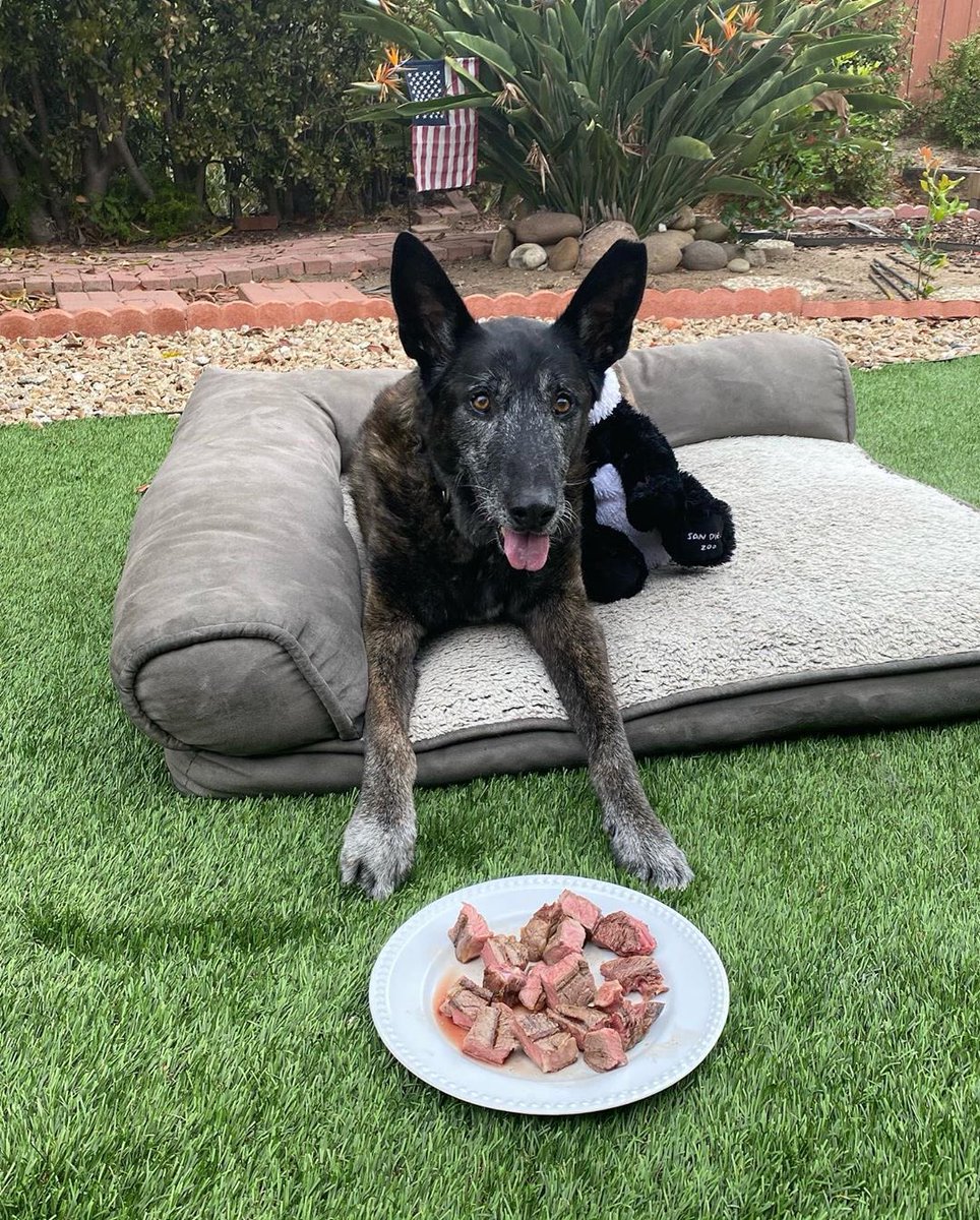 Forged® tweet media