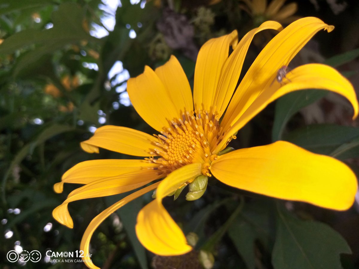 bigK_elly's tweet image. #CBeyond  Chasing nature @TECNOMobile254