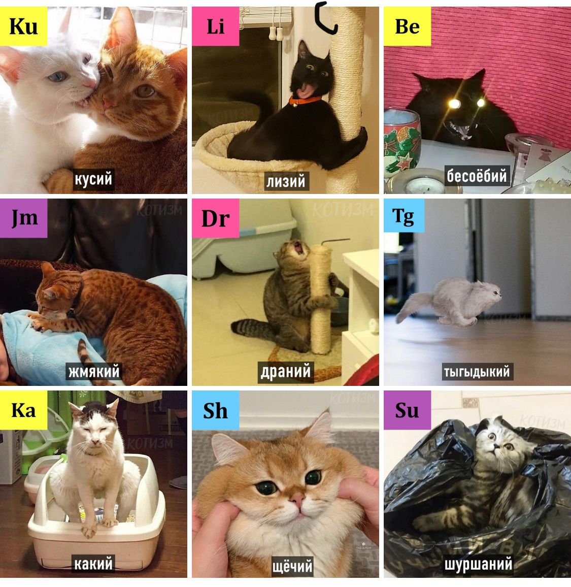 leprasorium's tweet photo. Периодическая система кото-элементов https://t.co/nkvEwBzedX