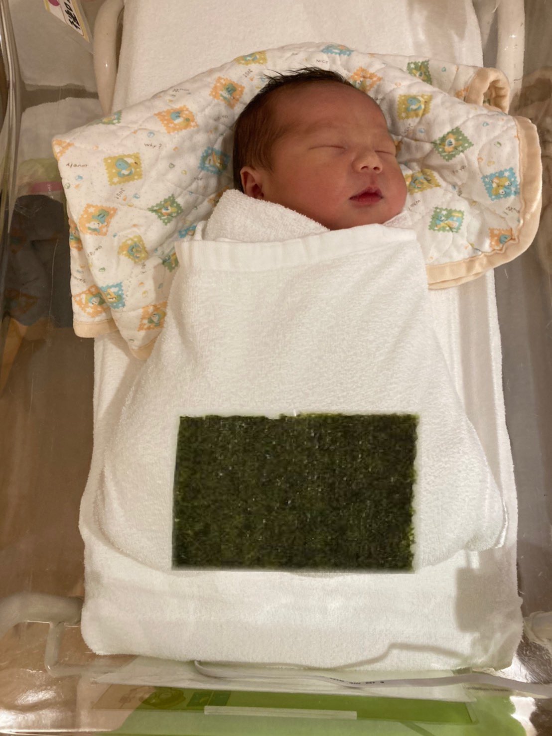 おひなまき Twitter Search Twitter