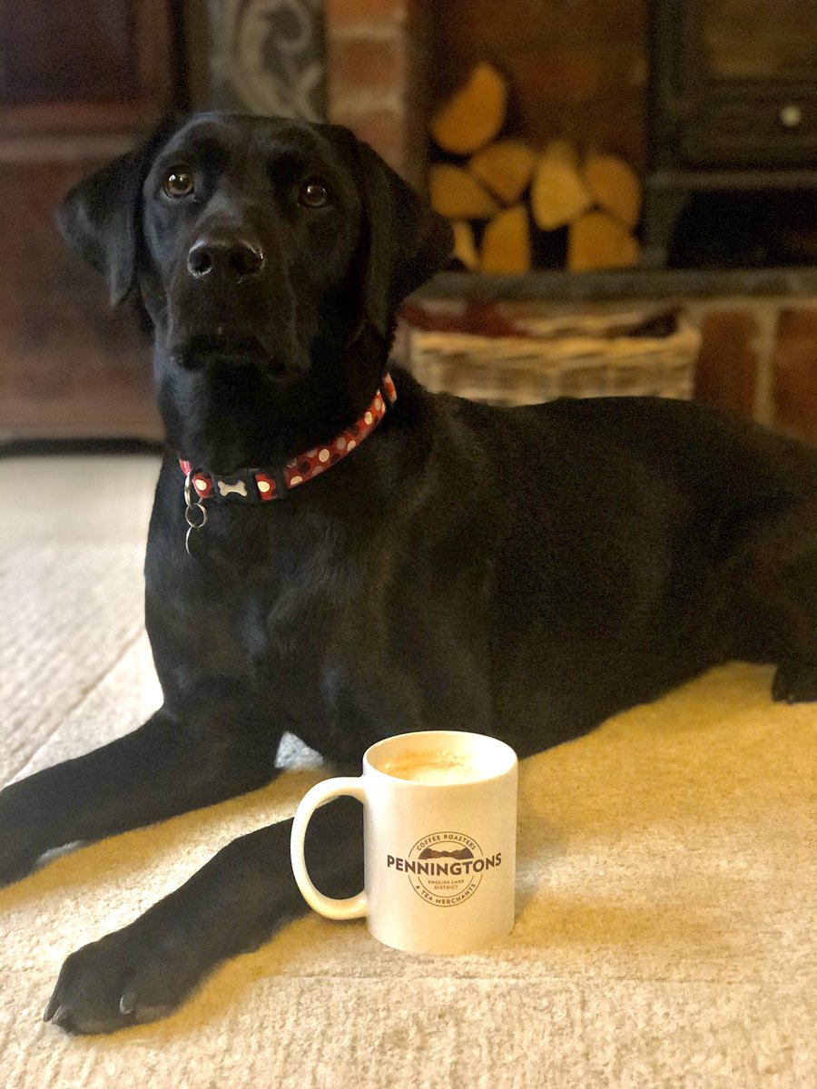 Starting the day the Penningtons way. Hands up who needs caffeinating?