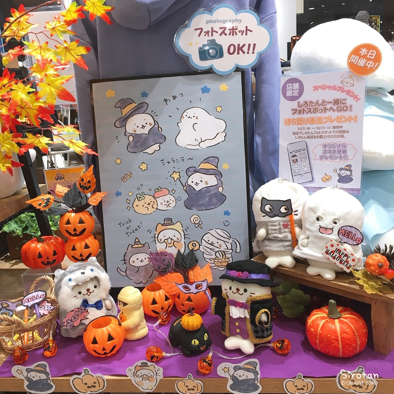 しろたん Pa Twitter しろたん フォトスポット のご紹介 キャナルシティ博多 店 10 31 今年もしろたん達がハロウィンの準備中 魔法のステッキでかわいい衣装に変身 甘 いお菓子も用意して 練習通りに トリック オア トリート 言えるかな どきどき