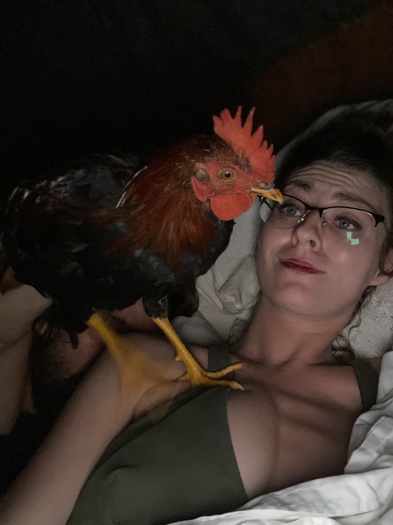 thezoestjohn's tweet photo. Just hanging with my #chicken https://t.co/EJDhI0oIwv