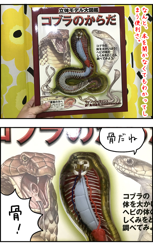 コブラになろうとした連載をまとめたよ!一気に読めて便利!はたして私はコブラになれたのか。画像はコブラのしくみがわかった場面。 https://t.co/MXSZXKpcLa