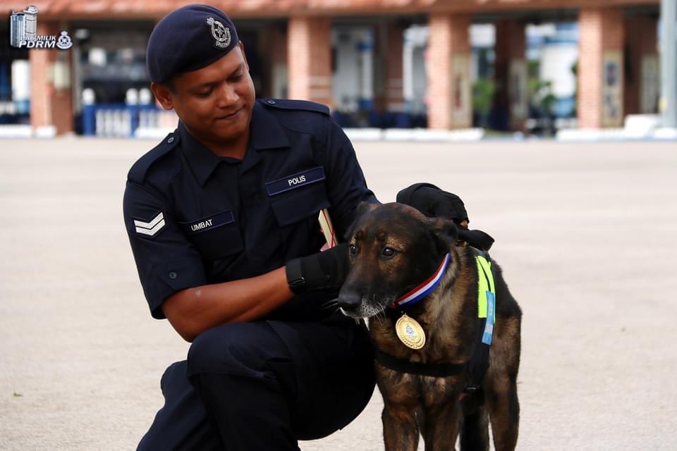 Selain Lao Wu, seekor lagi anjing baka yang sama bernama Urby berusia 12 tahun turut menerima pingat pada 2019 oleh Ibu Pejabat Polis KLIA apabila berjaya mengesan seorang mayat warga Bangladesh yang dilaporkan hilang 12 hari sebelumnya. Gambar: Urby bersama Koperal Umbat.