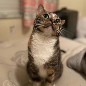 thread of p-p-p-patches!.!.!!.!.!