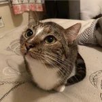 thread of p-p-p-patches!.!.!!.!.!