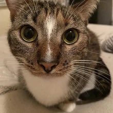 thread of p-p-p-patches!.!.!!.!.!