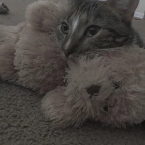 thread of p-p-p-patches!.!.!!.!.!