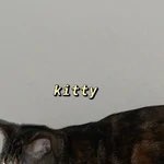 thread of p-p-p-patches!.!.!!.!.!