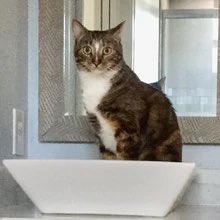 thread of p-p-p-patches!.!.!!.!.!