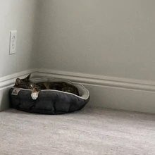 thread of p-p-p-patches!.!.!!.!.!