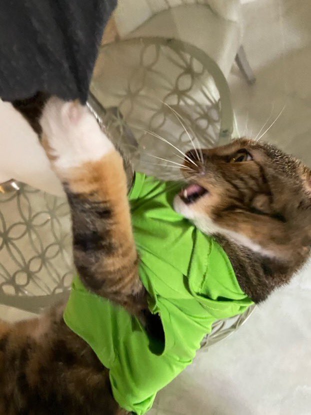 thread of p-p-p-patches!.!.!!.!.!