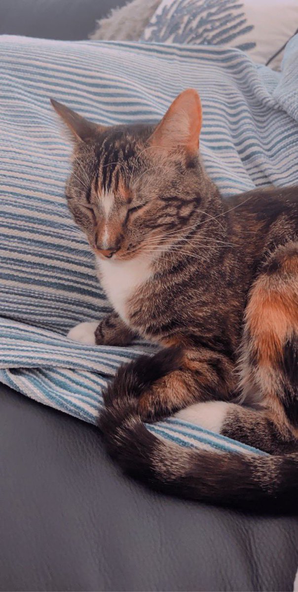 thread of p-p-p-patches!.!.!!.!.!