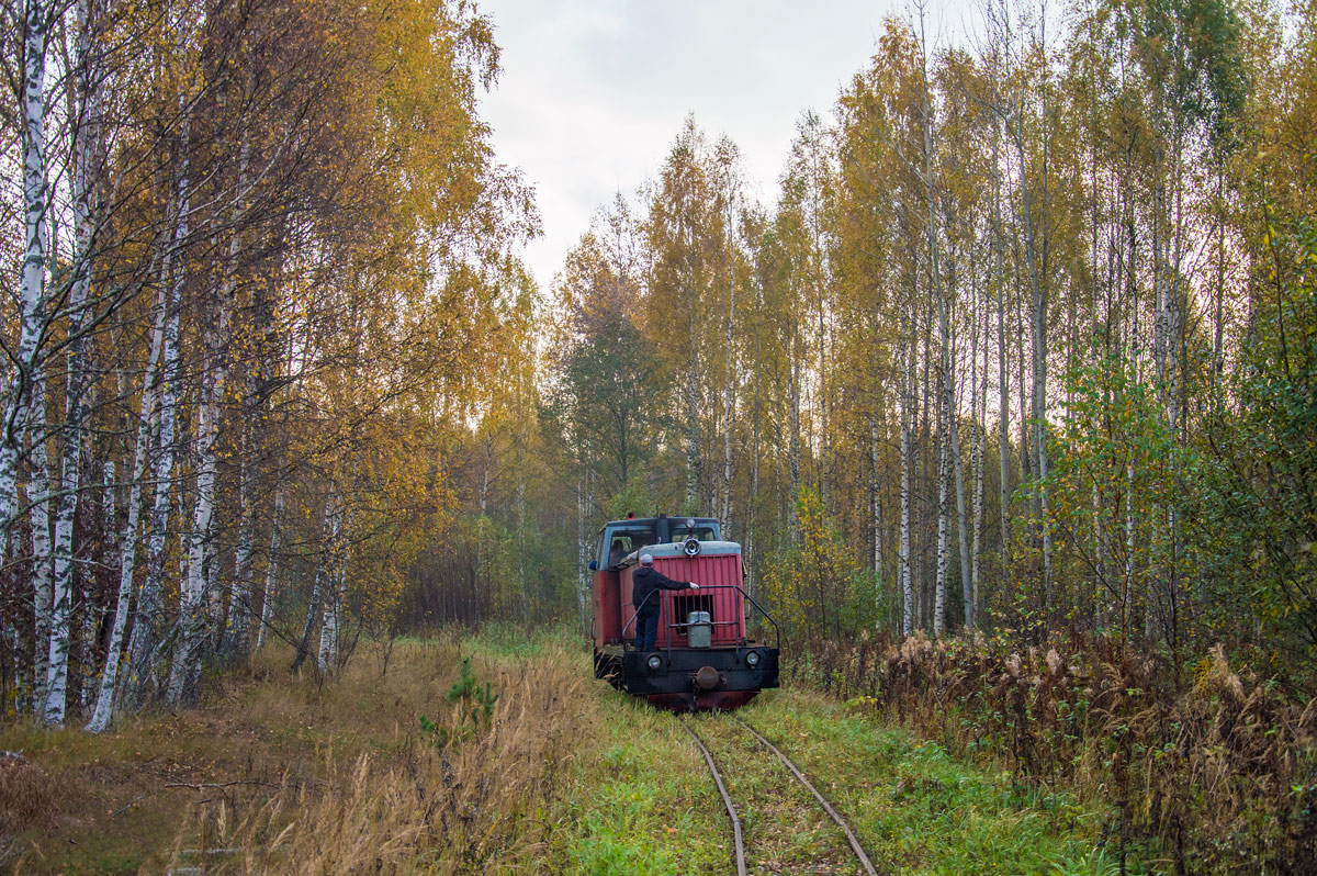 NGR_RU's tweet photo. Diesel locomotive TU6A-2897 running on the Kushaverskoye peat narrow gauge railway in Novgorod Oblast, 04.10.2020. Photo: Aleksey Kalinin.  #Russia #narrowgauge #train #schmalspurbahn #transport #eisenbahn #railroad #railway #bahn #ужд #узкоколейка #feldbahn #TU6A #zug #Novgorod https://t.co/dQkVKXFjFi