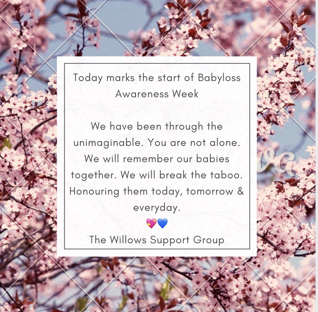 WillowsSupport's tweet image. Today marks the start of Babyloss Awareness Week. We remember all our babies who left us to soon 💖💙

 #blaw2020 #supportingparents #babylossawarenessweek #youarenotalone #pinkandblue #foreverloved #neverforgotten