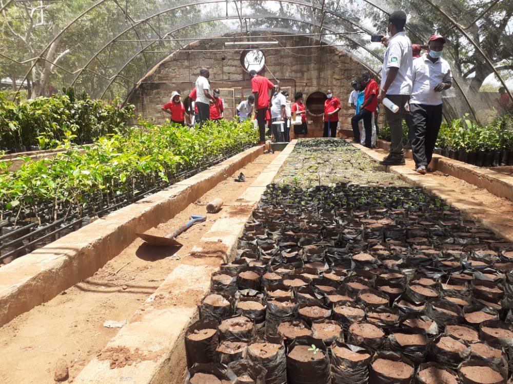 REDDPlusKenya's tweet photo. Youths during the @Wildlifeworks REDD+ project site visit were encouraged to explore alternative benefits of forests &amp; forestry sector driven businesses like tree nurseries.
#BetterWithForests #ClimateAction #LeaveNoOneBehind @Environment_Ke @WalidBadawi @mmashologu1 https://t.co/TZdMy91uYc