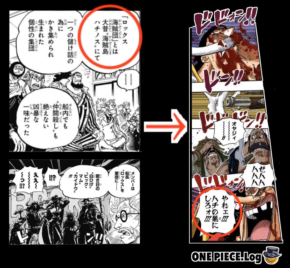 Log ワンピース考察 On Twitter 白ひげの 海賊人生 は ハチノス に始まり ハチの巣 で終えた という事になるのか