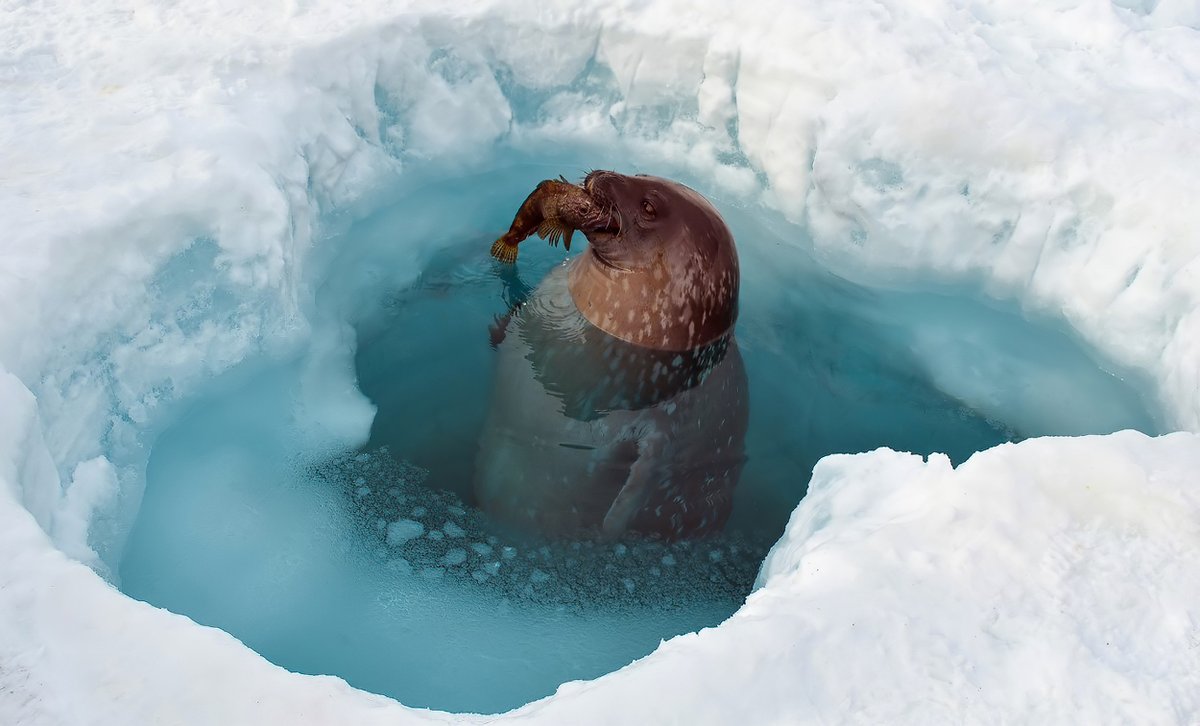 Photographer (@star192323) on Twitter photo 