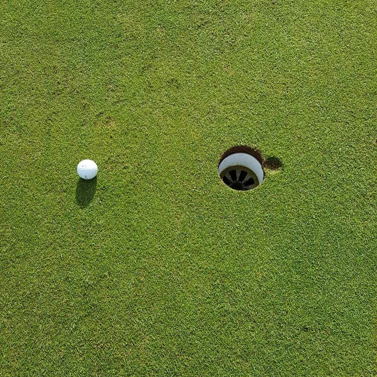 2underGolf's tweet photo. So near yet so far....
An image sent to is yesterday from one of our customer.
170y par 3. 7I downwind
Happy to hear the putt was holed 🤣🤣🤣
#2undergolf #2UnderCLR #premiumcabretta #standrewsgolf #homeofgolf https://t.co/YZvfcuzdFV