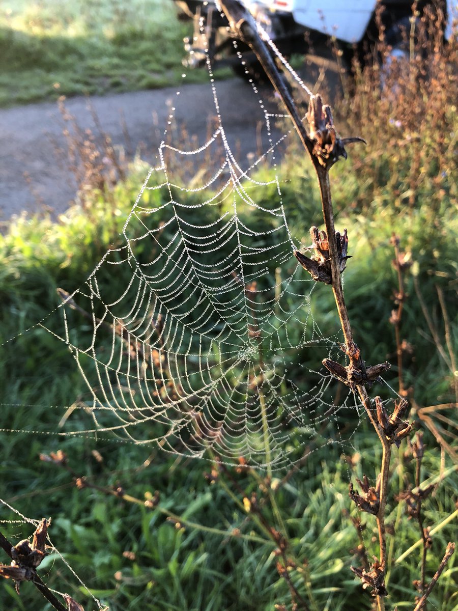 An amazing sunrise and a Misty one to boot at Hornchurch Country Park.