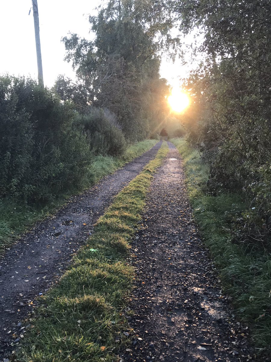 Early morning reflections.... how? What now? @ScotEdConnect giving lots to think about! #headspace #earlymorningwalks #countrylife