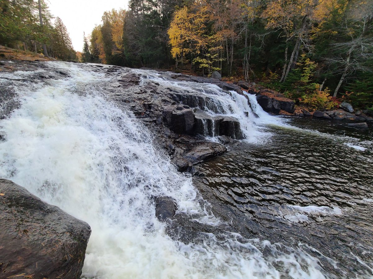 KennyLints's tweet image. 