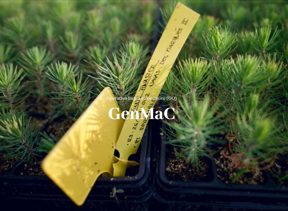 INIA_es's tweet photo. Disponible el vídeo y las presentaciones del webinar final del proyecto #GenMaC celebrado la semana pasada https://t.co/flagFgl6zc https://t.co/cpEB84bMzz