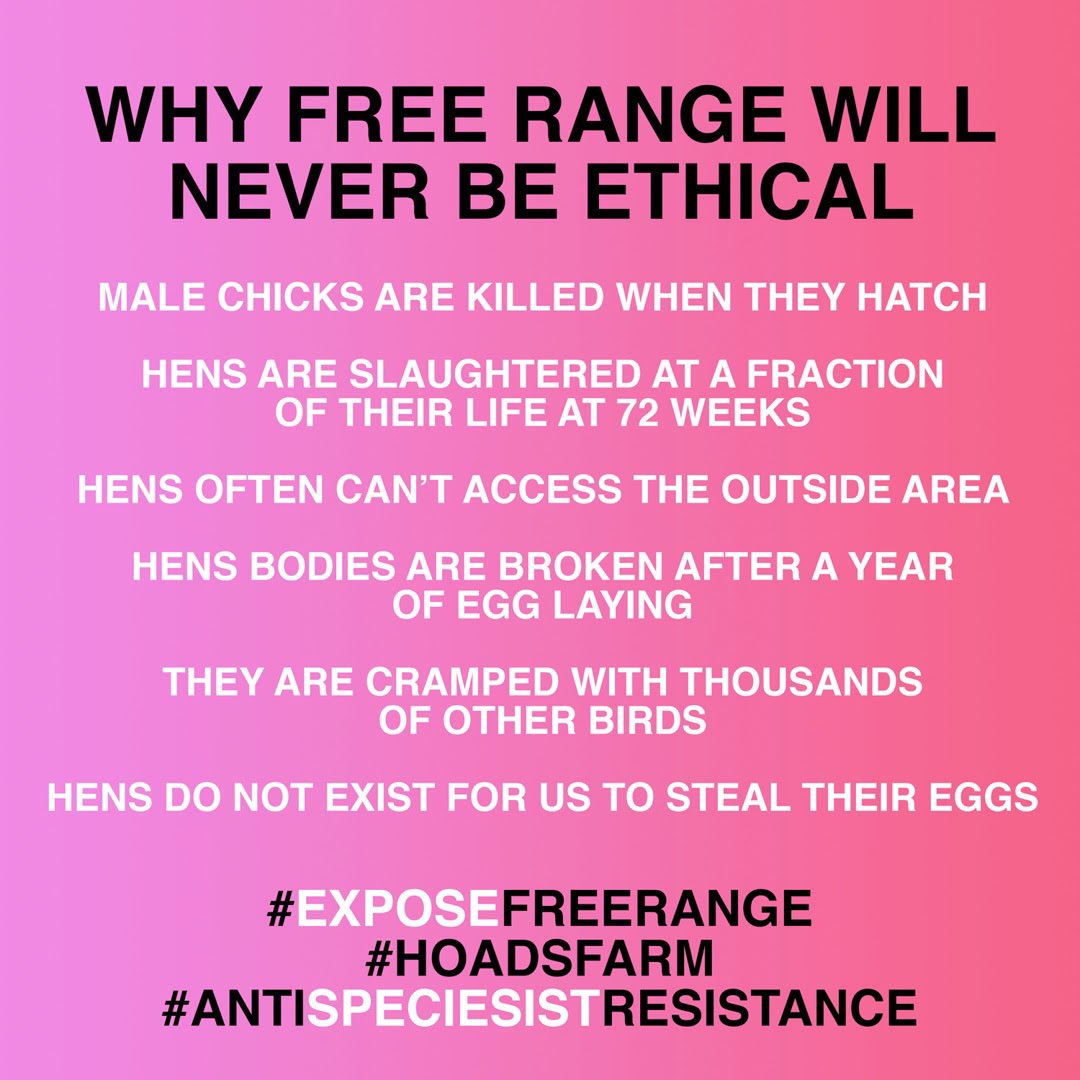 Just FYI incase you thought eggs could be ethical. #worldeggday