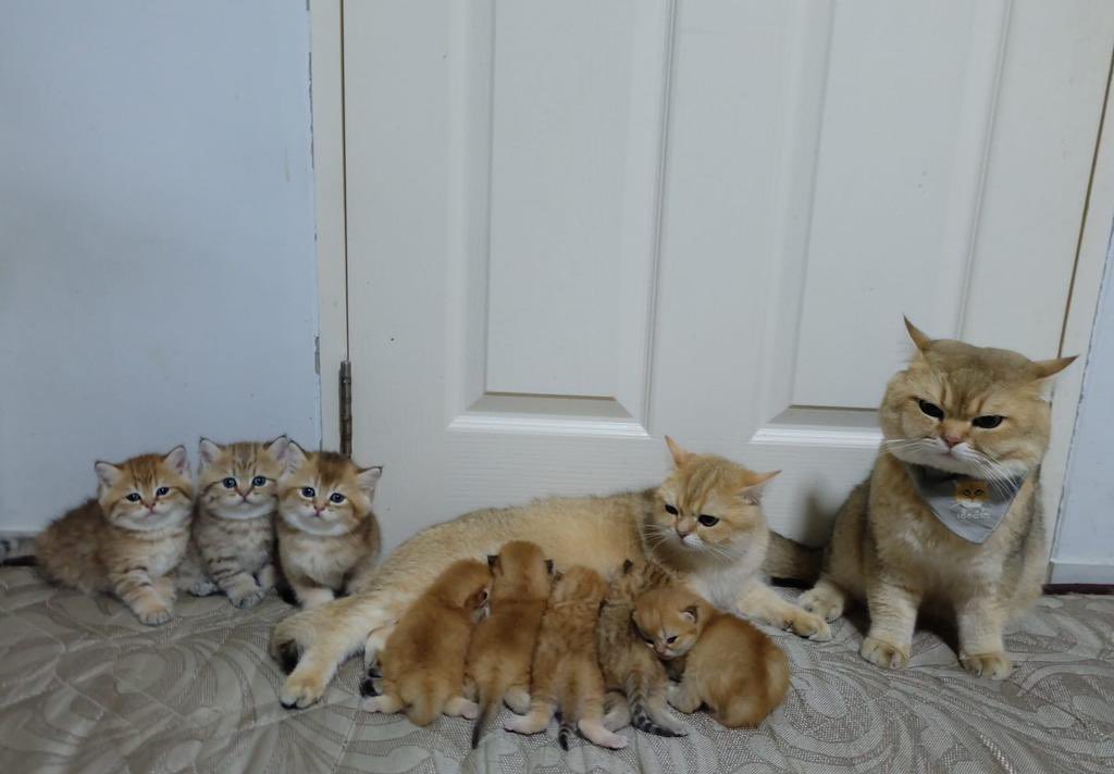 Dari muka bapaknya keliatan capek banget ngurusin uang spp sekolah