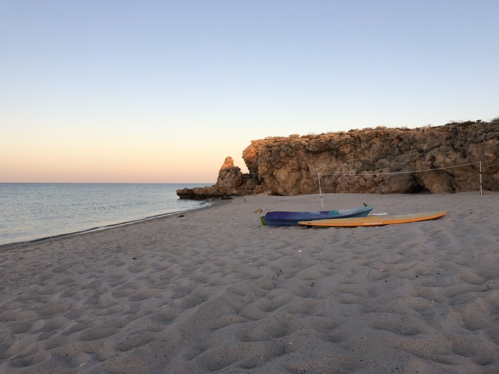Remote island living for a week is great for the spirit and soul. Stunning by day on #dirkhartogisland and the Milky Way at night is sublime.  #wanderoutyonder