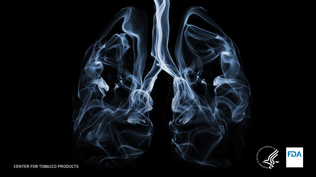 More than 8 out of 10 lung cancer deaths in the U.S. can be attributed to smoking.

Learn more about smoking and lung health during #HealthyLungMonth: fda.gov/tobacco-produc…