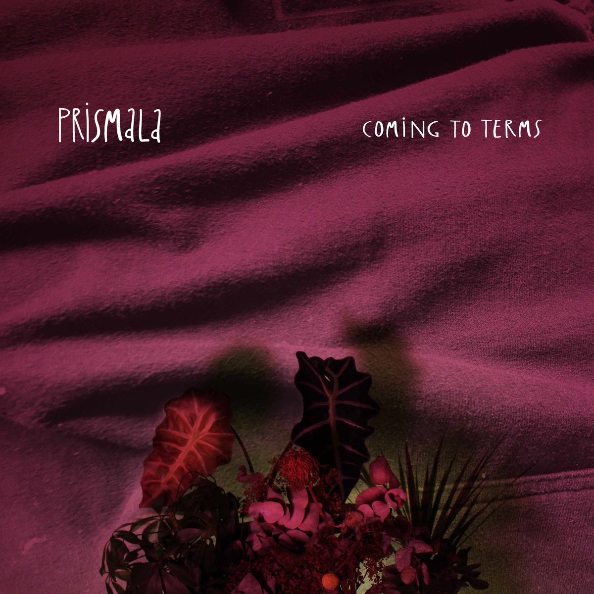 It is with great pleasure that we present you our new EP 'Coming to Terms'. Listen here: 🎧 bit.ly/3npJ4CS

We hope that you find comfort and joy in these songs in any stage of your life. This is from us to you x
#weareprismala #prismala