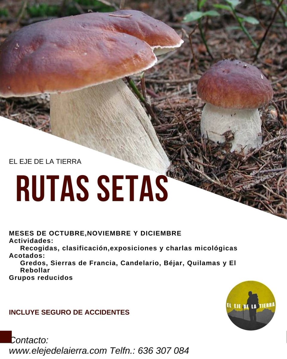 Aprovechamos todas las estaciones del año... Tiempo de 🍄🌰 #SierrasdeBéjar #EstaciónBéjarVerde #ElEjedelaTierra