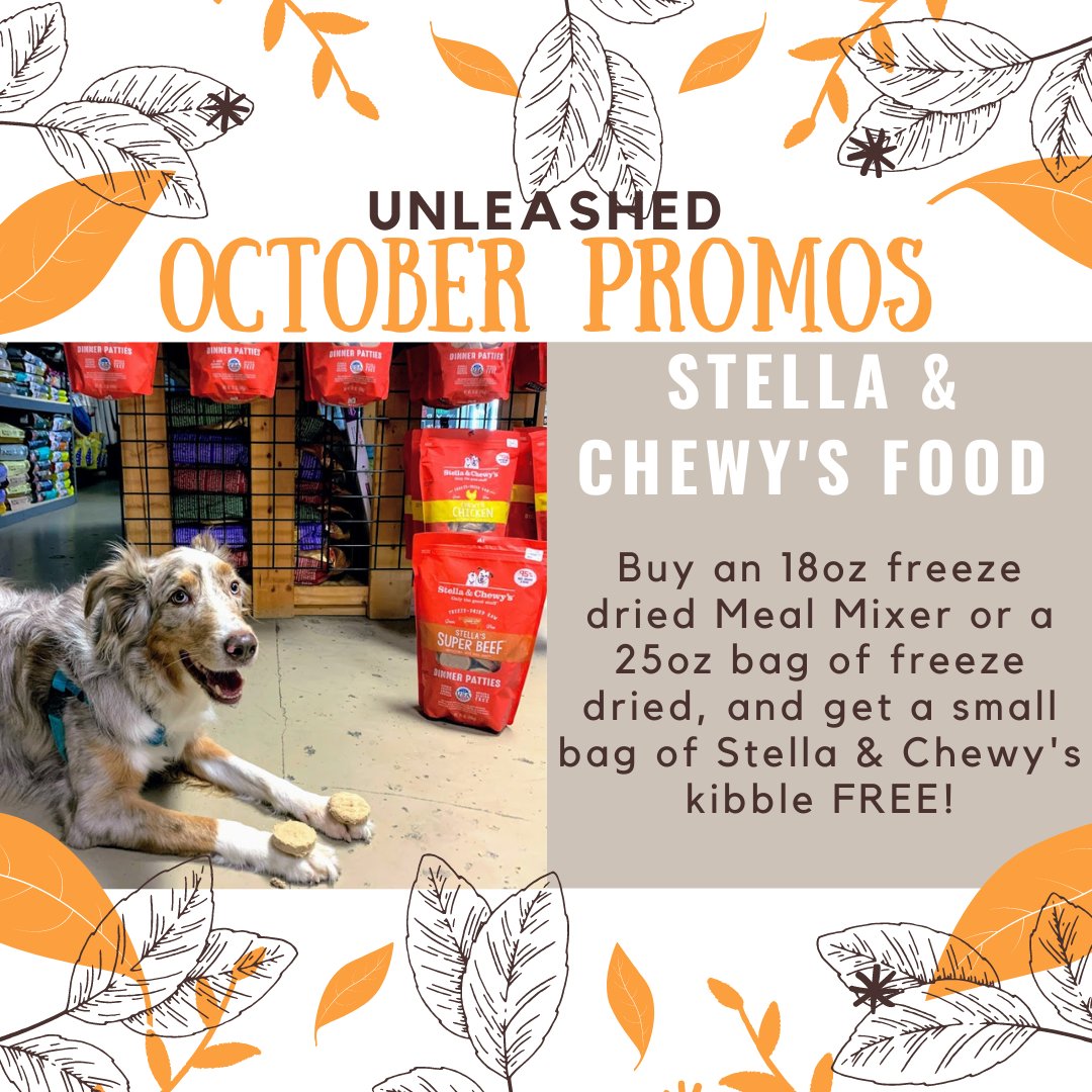 UnleashedLB's tweet image. This October at @UnleashedLB, get a FREE bag of @stellaandchewy’s kibble with a purchase of 18oz S&amp;amp;C Meal Mixer or a 25oz bag of S&amp;amp;C freeze dried! No tricks necessary, Sky just wanted to show off 🐶

#shoplocalraleigh #showsomelocallove
 #nc #petsofthetriangle  #UnleashedNC