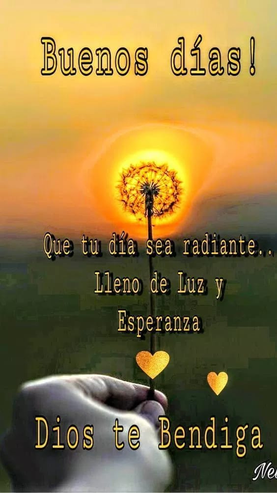 Feliz día lindo grupo de hermosos corazones amigos Que nunca nos falte la fuerza que nos levanta el amor que nos humaniza la razón que nos equilibra y el amor y la fe en Dios Un amigo es la persona Q nos muestra el rumbo y recorre con nosotros una parte del camino