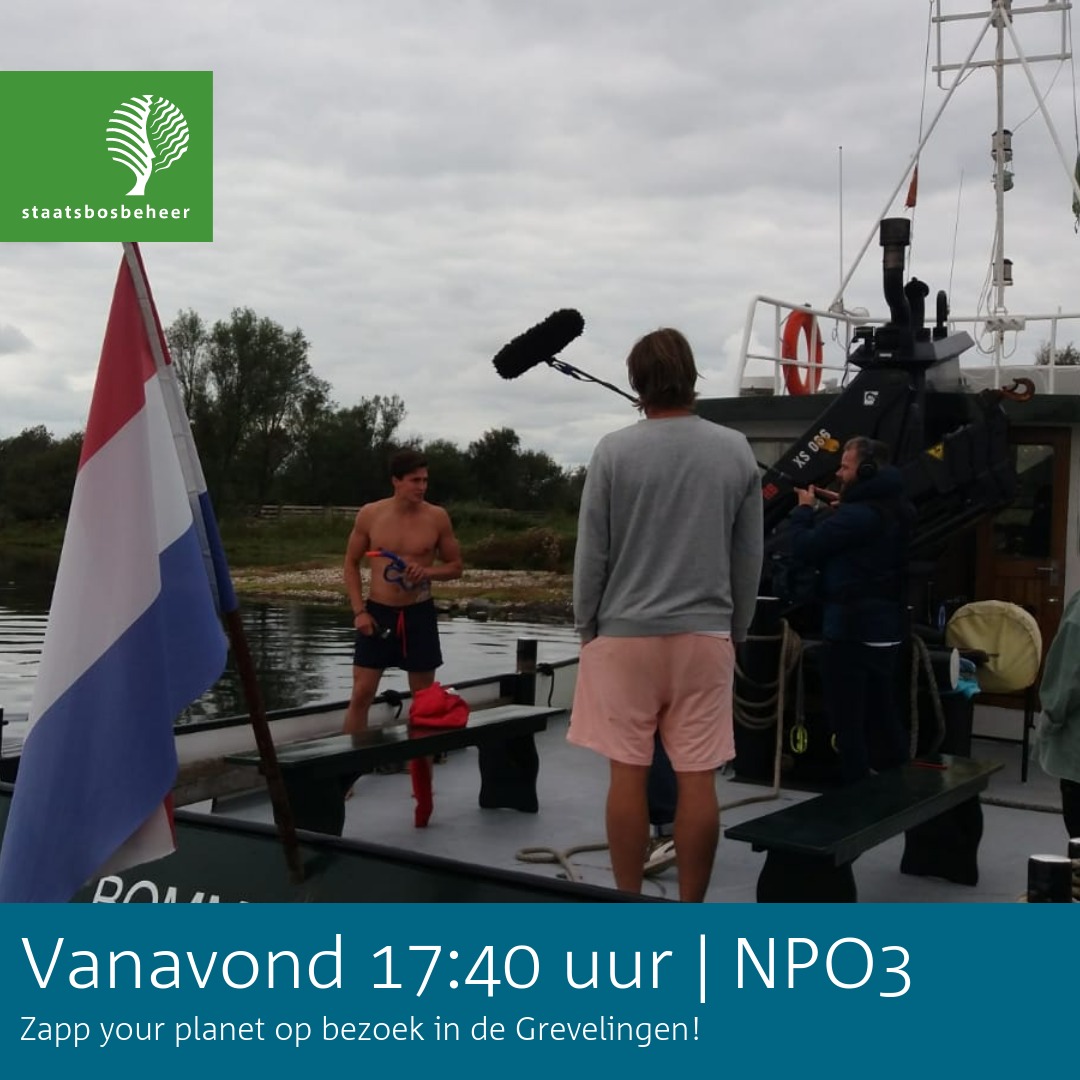 Kijktip! Vanavond neem ik presentator Remy mee op de #grevelingen! Ik laat de mooiste plekjes zien en we kletsen over de toekomst. Ik ben benieuwd!! #npo3 #zappyourplanet