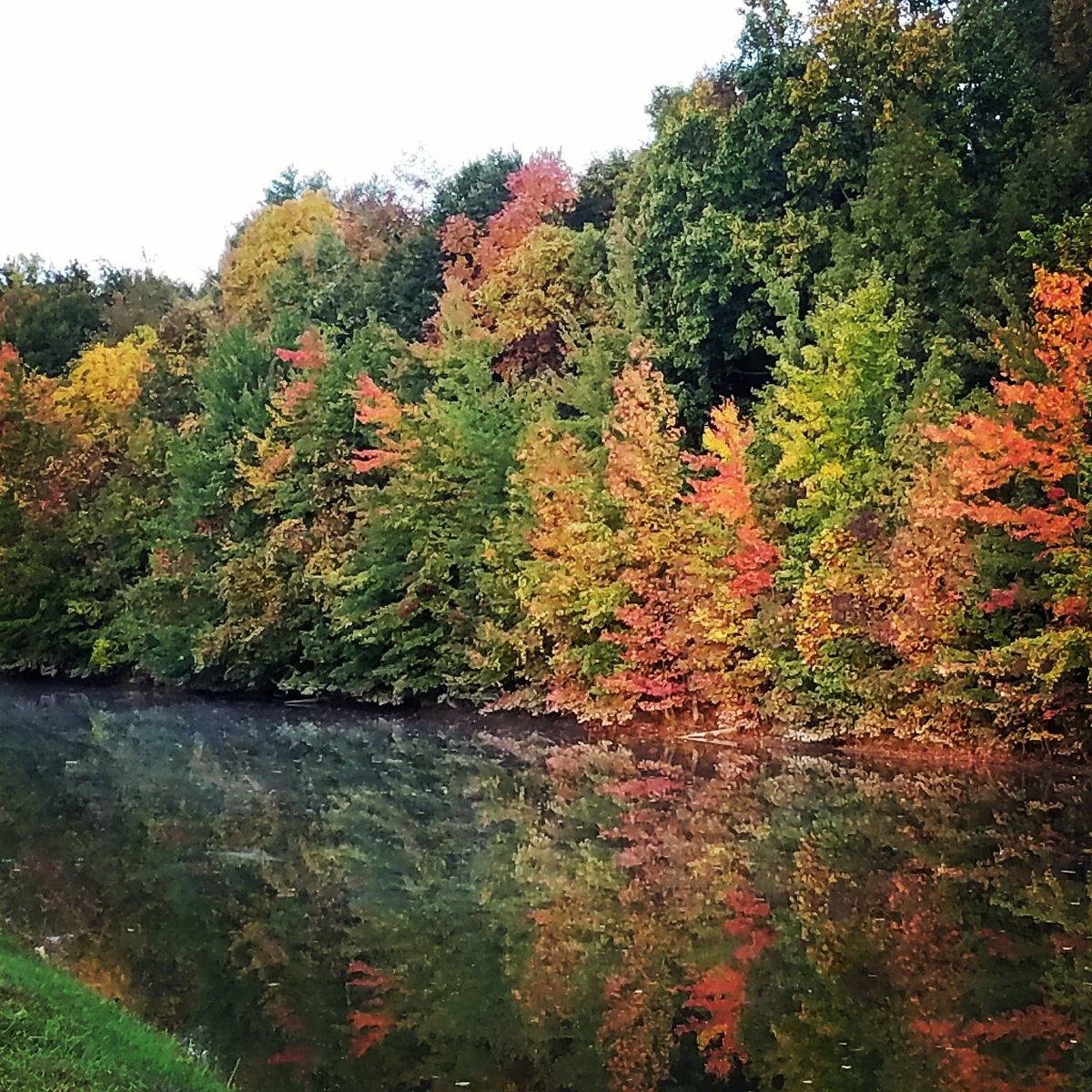 IanOnTheAir's tweet image. Trying to get my @PaulMiles840 on this morning. Still not as good as the master though. #LotsToLearn  #PictureGame