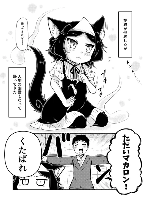 愛猫が幽霊になったらめっちゃしゃべるし口が悪い
【第6話】

#創作漫画
#漫画が読めるハッシュタグ 