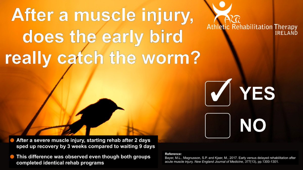 Athletic Rehabilitation Therapy Ireland tweet media