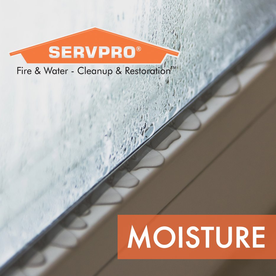 "Inspect windows and roofs after heavy storms for moisture. The excess moisture will cause mold to grow if left uncleaned.
"