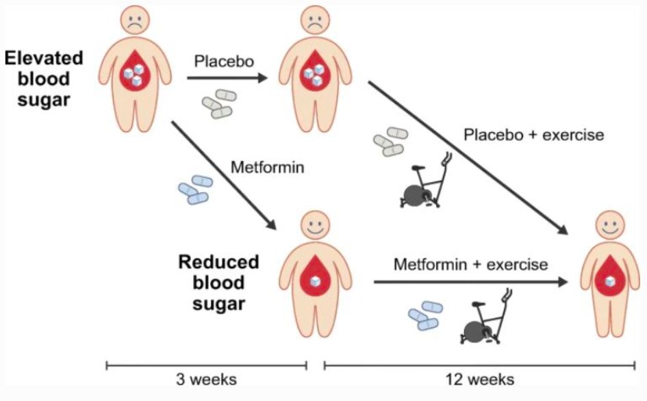 Metformin and #exercise are often co-prescribed for people with #prediabetes or #T2D, but a new study by @CFAS_dk shows that the combination of #metformin and #exercise is not superior to exercise alone for improving #glycaemic control bit.ly/2GuPhN7 #toptweet