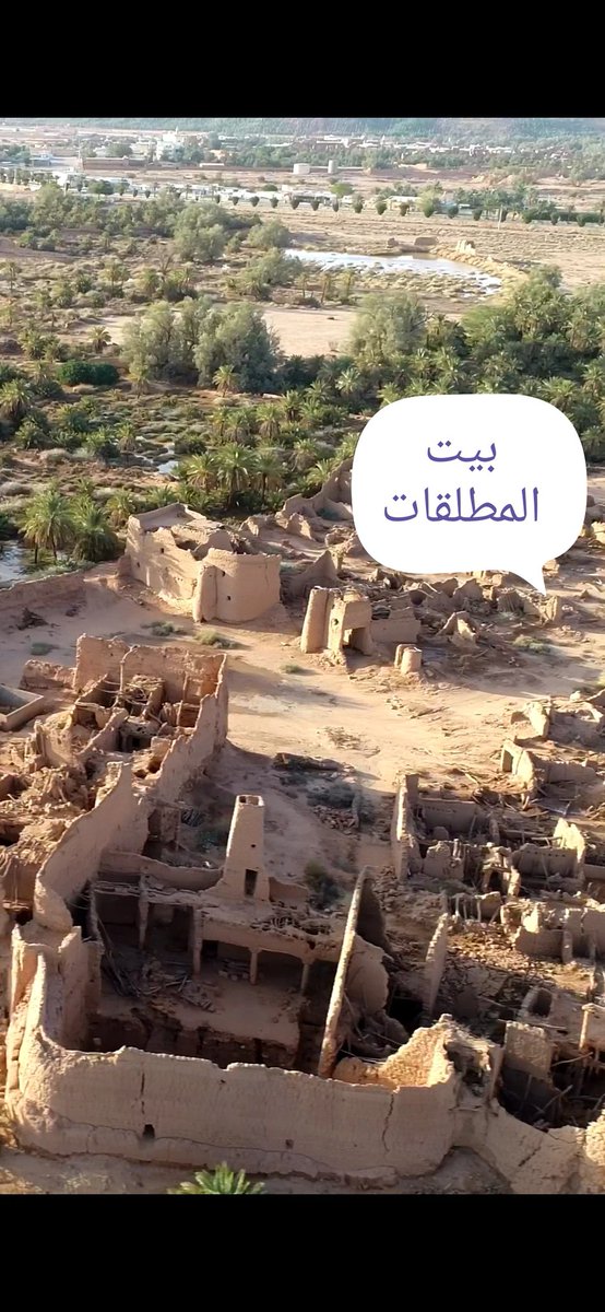 سعودية مع السائق تويتر