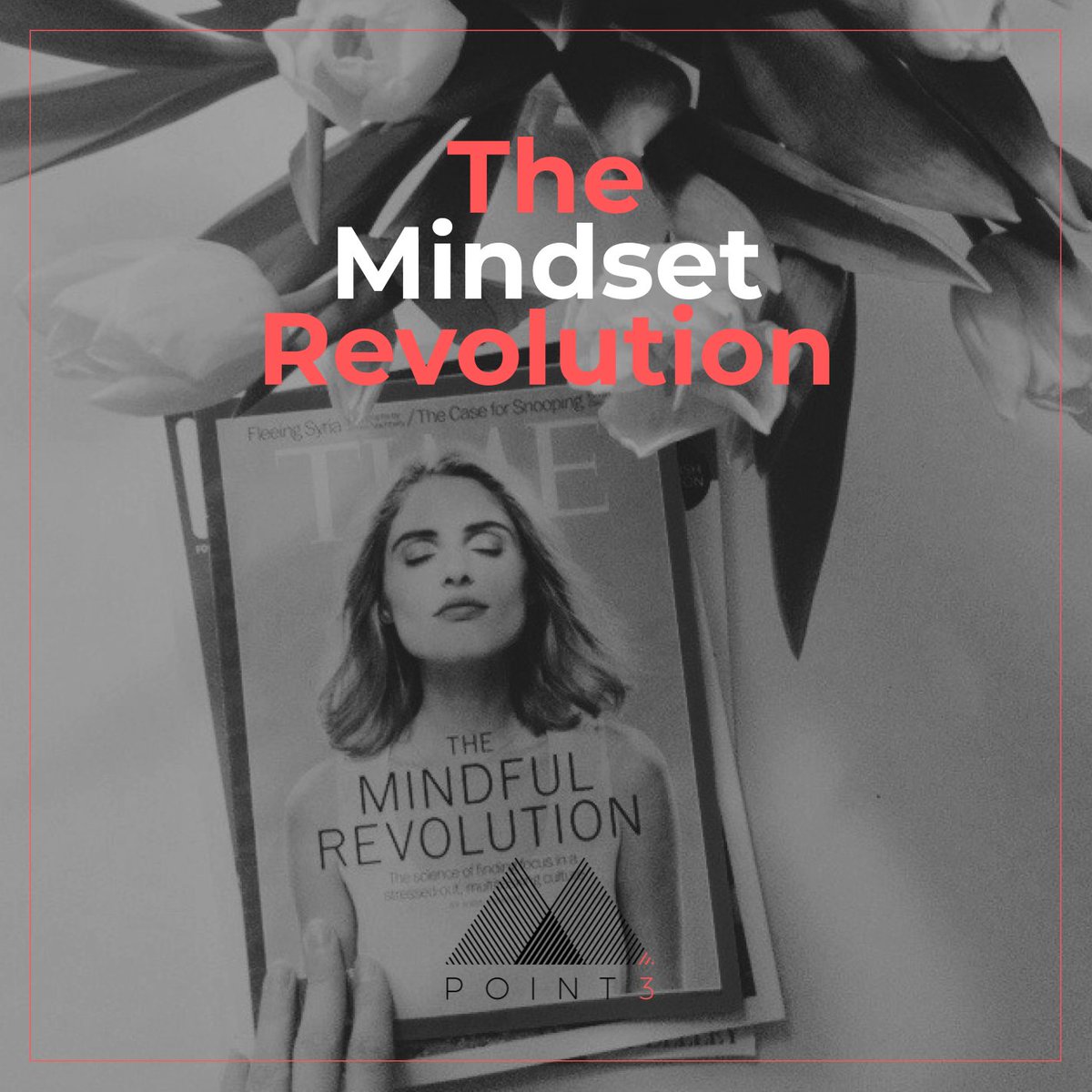 POINT3 Wellbeing tweet media