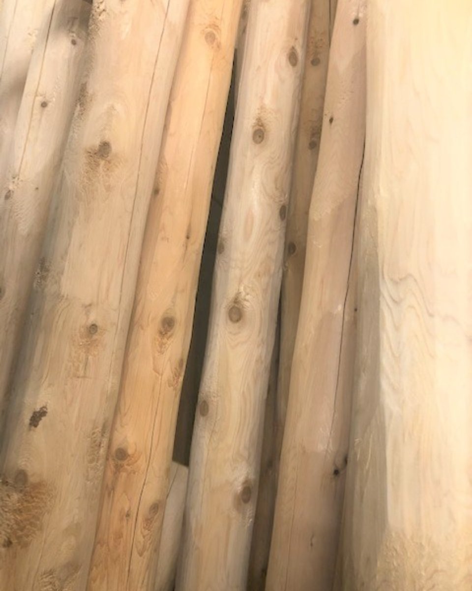 KwaterskiInc's tweet photo. Looking to build rustic furniture? We have German Peeled White Cedar timbers in stock that are hewn. Stop by our showroom in Eagle River to see them in person!

#whitecedar #eagleriverwisconsin #woodproducts https://t.co/Nykl1sjNLG