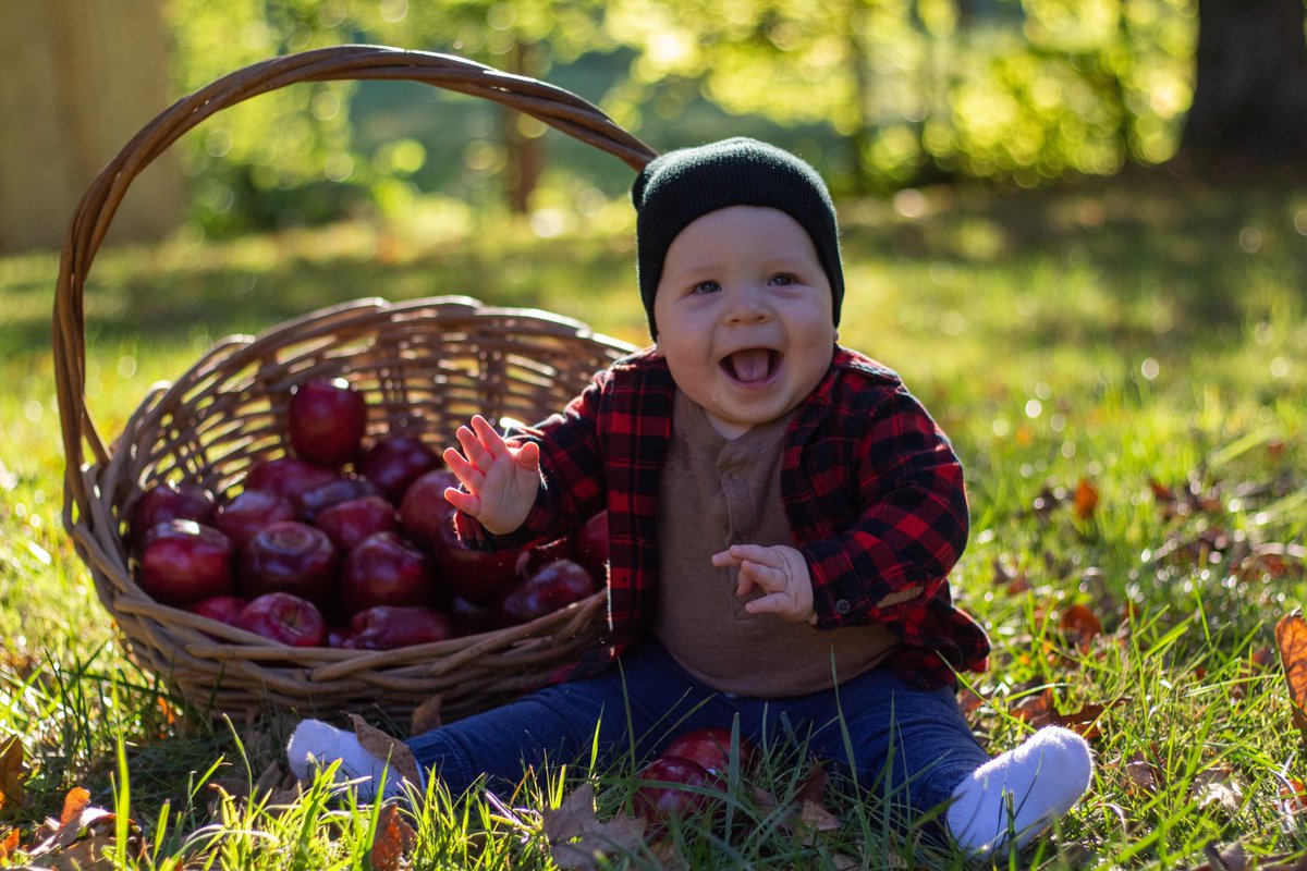 lil_larn's tweet image. How it started              How it’s going